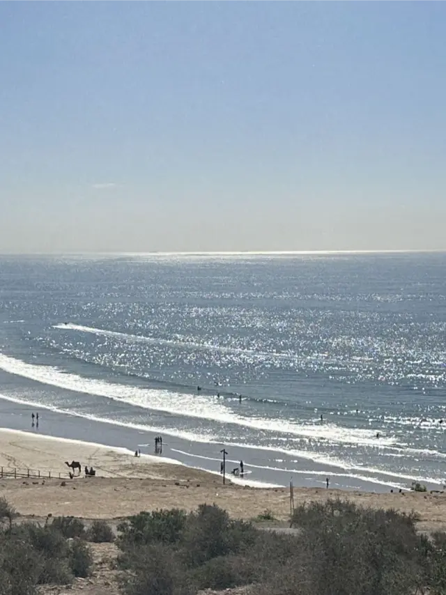 EXPLORING THE COAST
