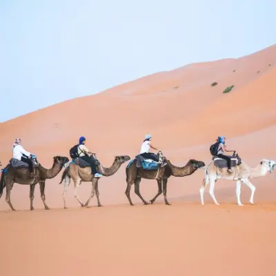 Bring Your Group to Essaouira